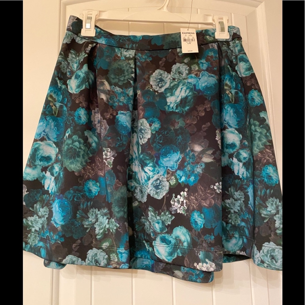NWT EXPRESS Skater Skirt with exposed back zipper